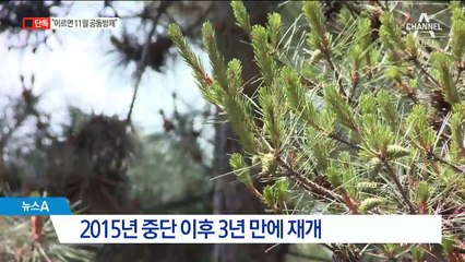 [단독]“이르면 11월 남북 공동방제”…산림협력 물살
