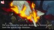 Trailer Công Chúa Mononoke: Kỳ quan hoạt hình Ghibli và những chi tiết khiến người xem ám ảnh khôn nguôi