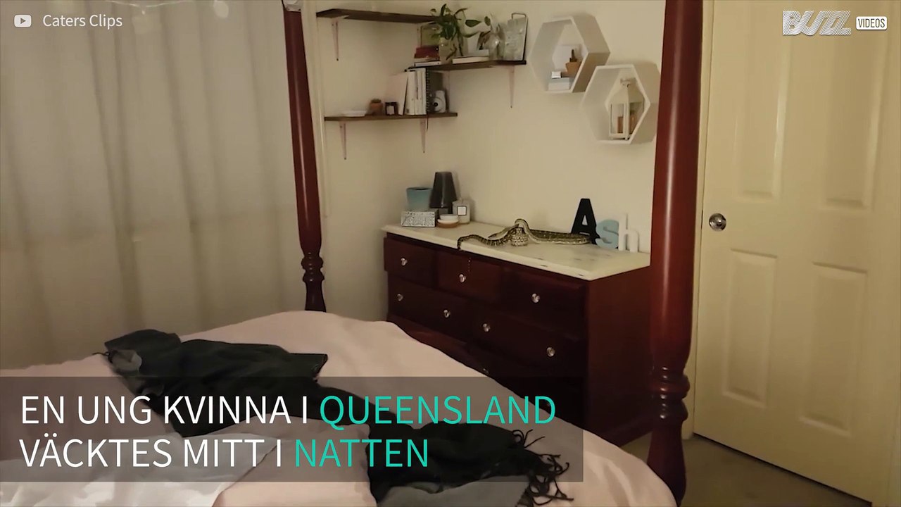Tonåring i Australien vaknar upp med en pytonorm i sovrummet