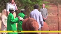 Melania Trump met baby elephants during her Kenyan visit [No Comment]