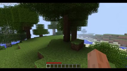 Minecraft - Vidéo commentée en live - Partie 1