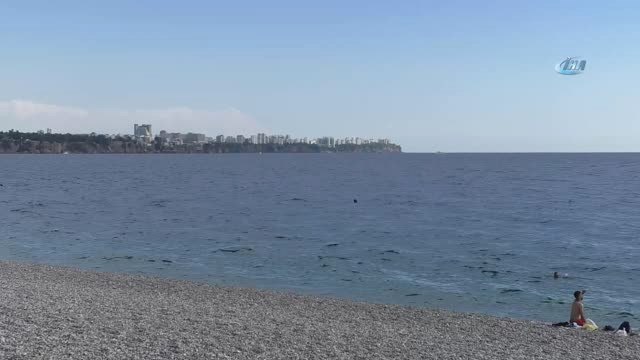 Antalya'da 6 Metre Derinlikte Aslan Balığı ve Orkinos Görüntülendi