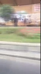 Un homme retrouve son chien perdu après 3 ans (Géorgie)