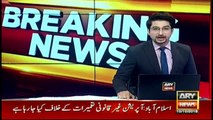 Ayyan Ali's name emerges in fake accounts case