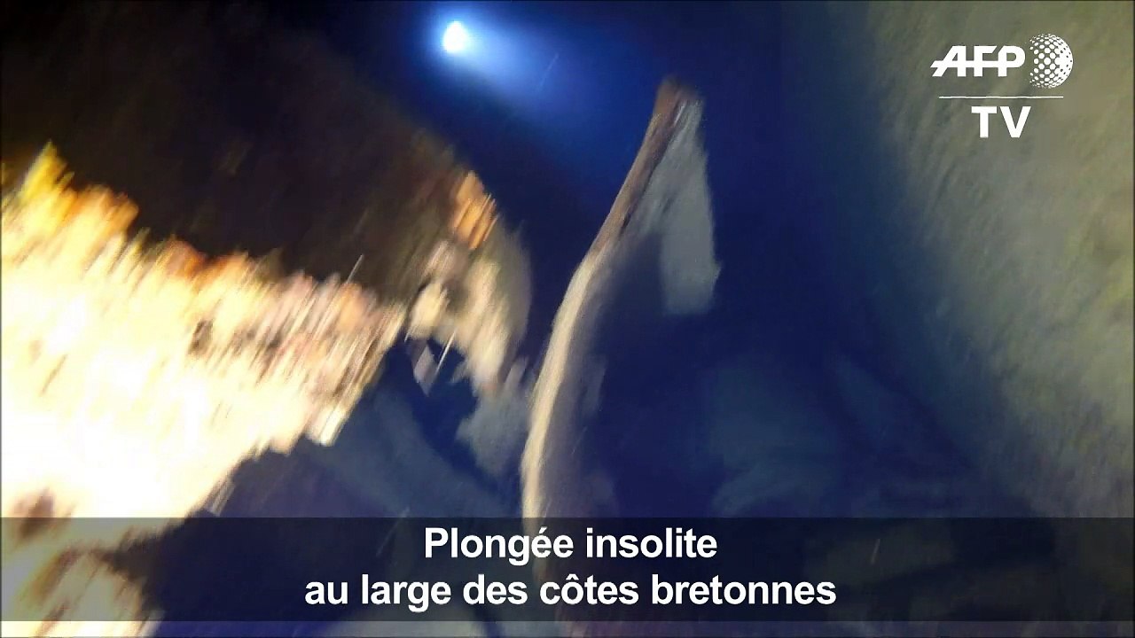 Quarante ans après, l'Amoco Cadiz est devenu un lieu de plongée