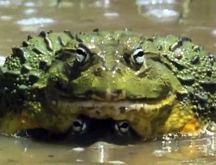 Killing For A Living S01 E11