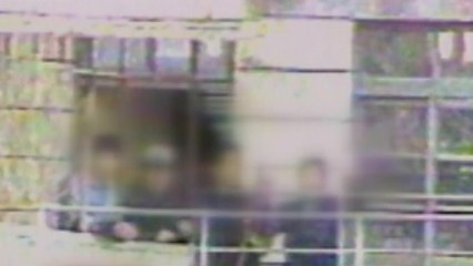 검찰 과거사위 "형제복지원 수사 은폐 확인...특별법 권고" / YTN