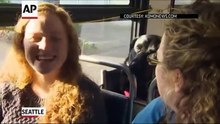 Cachorro anda sozinho de ônibus