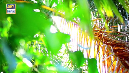 Bechari Nadia Episode 52 - 10th October 2018