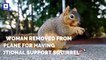 Woman Removed From Plane for Having 'Emotional Support Squirrel'