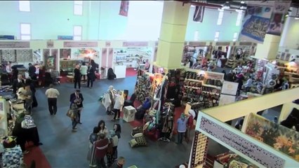 جهاز حماية المشروعات لن يتأخر عن الشباب.. الدكتورة نيفين جامع تطالب الشباب بدخول على الاستثمار الخاص