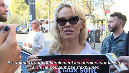 Pamela Anderson en cage à Paris contre la maltraitance animale