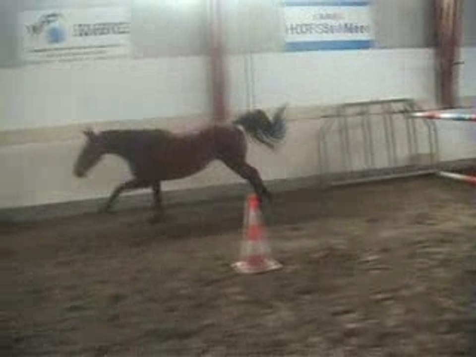 Papaye saut liberte octobre2007