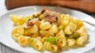 Codo con flor de calabaza y champiñones- Recetas de cocina italiana- Recetas de pasta