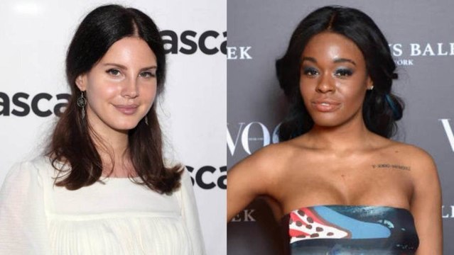 Lana Del Rey and Azealia Banks Engage in Heated Twitter Feud