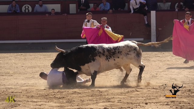 Final del campeonato de España de recortes 2018, 4K / Spanish Bull Leapers