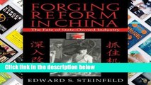 D.O.W.N.L.O.A.D [P.D.F] Forging Reform in China: The Fate of State-Owned Industry (Cambridge
