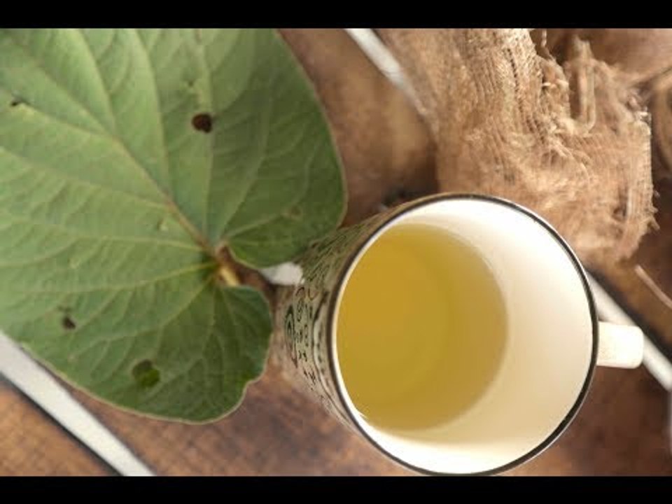 Infusión de Hoja Santa  Propiedades
