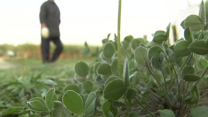 [날씨] 올가을 가장 쌀쌀, 서울 6.1℃...북춘천 첫서리 / YTN