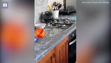 Homem retorna para encontrar sua cozinha decoração