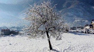 शिवरात्रीमा हिउँ जमेको देख्नु जुम्लीका लागि अवसर भएको पनि स्थानीयहरुले बताइरहेका छन् । हिउँ परेपनि मंगलबार घाम लागेकाले मानिसहरु सहजै हिँड्डुल गरिरहेका छन् ।