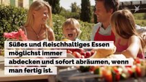 Gefühlt war die Wespenplage noch nie so schlimm wie in diesem Jahr. Mit diesen kleinen Tricks könnt ihr euch wehren.