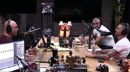 Joe Rogan - Conor's Coach on Khabib UFC 229 Brawl