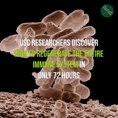 USC Researchers Discover How to Regenerate Your Entire Immune System In Only 72 Hours