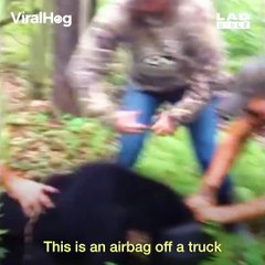 They couldn't stand by and watch the bear struggle. These guys are incredibly brave! 