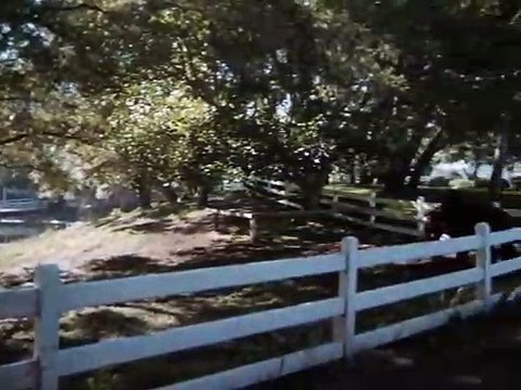 Mission Impossible (1966) S01E17 The Frame