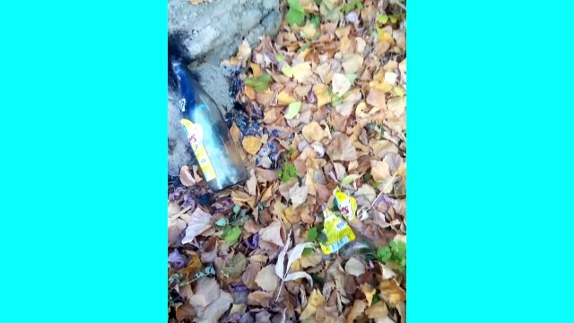 В Казахстане жгут дома тем, кто пытается говорить