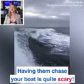 Three orca whales are CHASING a fishing boat! 