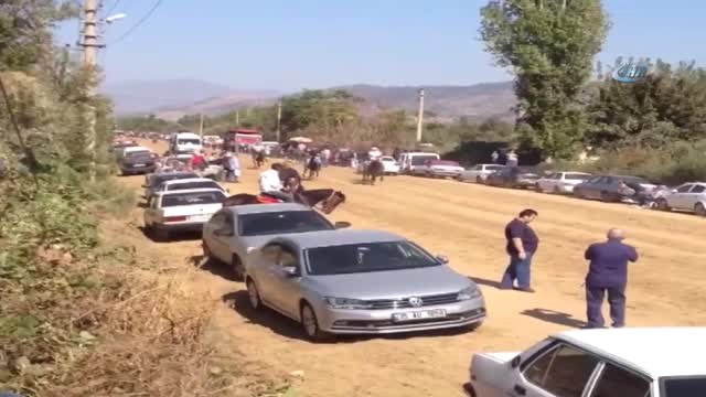 Bu Defa Atlar Çarpıştı... İlginç Kaza Kamerada