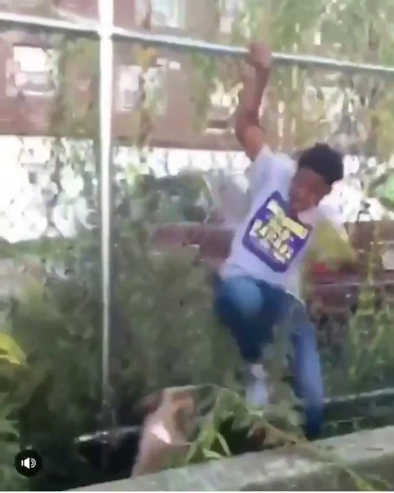 Un homme agressé par des chiens prend peur