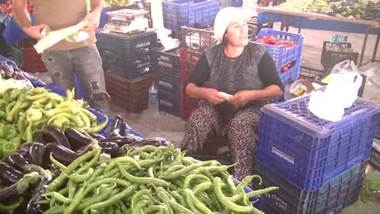Domatesin Merkezi Antalya'da Domates Pazarda 6 Tl