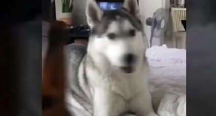 부천출장아가씨//전화☎문자//부천출장안마oIo_2762_2119 부천출장마사지 만족도1위 부천마사지 부천신속한출장∽부천출장마사지∀부천출장마사지™부천자택출장