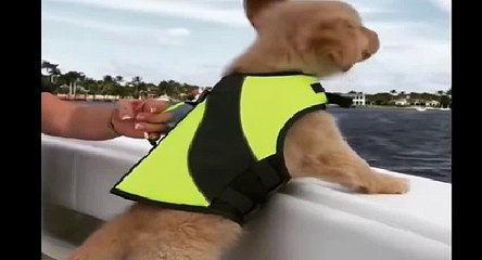 의정부출장아가씨//전화☎문자//의정부출장안마oIo_2762_2119 의정부출장마사지 만족도1위 의정부마사지 의정부신속한출장∽의정부출장마사지∀의정부출장마사지™의정부자택출장