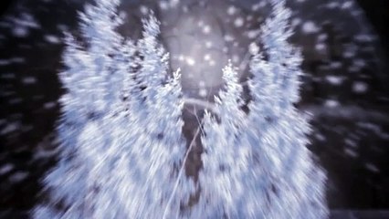 What Is A Forex White Label