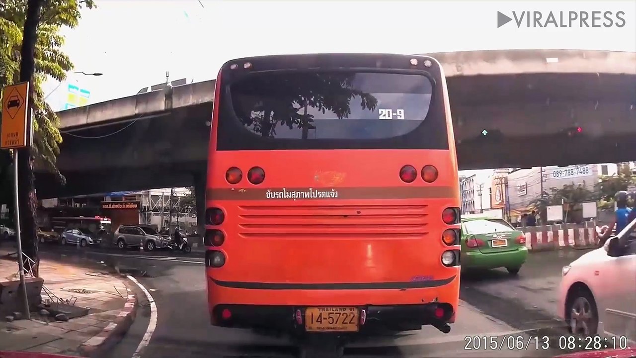 Brave Driver Rescues Kitten From Traffic