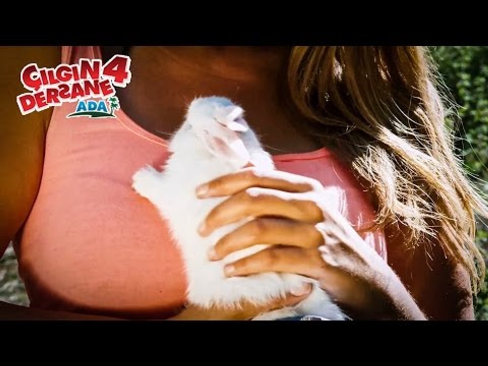 Çılgın Dersane 4: ADA - Yerim Ben Bu Tavşanı