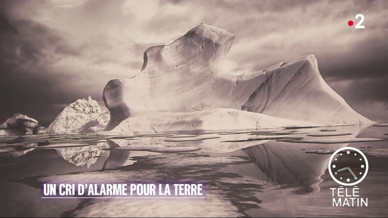 Visite guidée – SOS planète terre