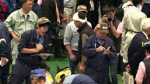 Première vente de thon au nouveau marché aux poissons