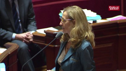 Lutte contre la pédopornographie : désaccord entre Nicole Belloubet le Sénat