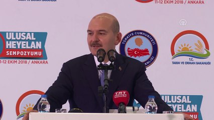 Soylu : 'Bugün çok daha önemli tedbirleri alabilecek kabiliyetimiz de var, kapasitemiz de var' - ANKARA