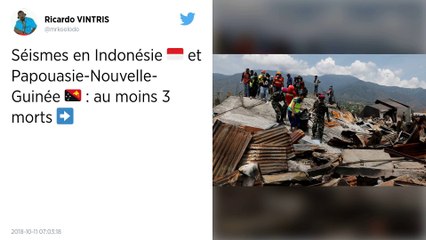 Seismes en Indonésie et en Papouasie-Nouvelle-Guinée.