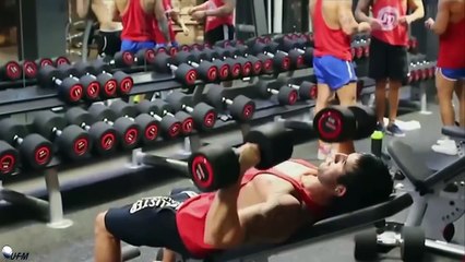 Aesthetic Bodybuilding Motivation -  Training Everyday
