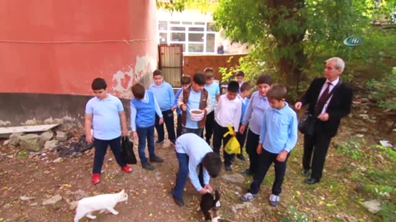 Öğrenciler "Sosyal Sorumluluk Projesi Hazırlama" Görevini Sokak Hayvanları ile Paylaştı