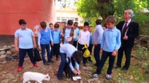 Öğrenciler “Sosyal sorumluluk projesi hazırlama” görevini sokak hayvanları ile paylaştı