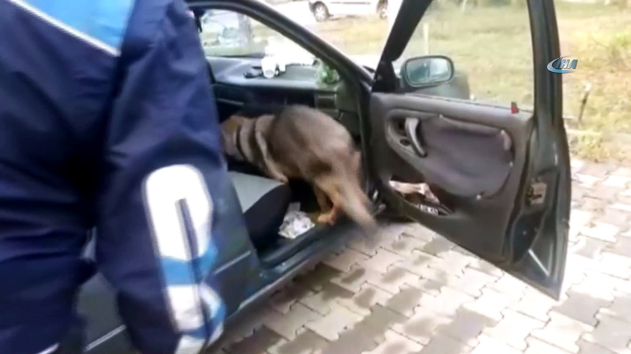 Tek ayaklı uyuşturucu taciri, narkotik köpeği 'Ece'ye yakalandı