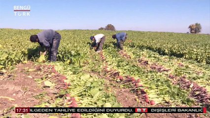 ÖZDE GÜNDEM 9 EKİM 2018 KONUK-ENGİN GÜLEÇ